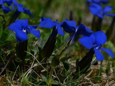 Apartment Appartement/Fewo, Dusche oder Bad, WC - Outdoor photo 37