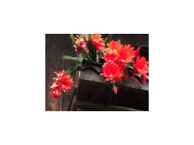 Apartment Appartement - Outdoor photo 22