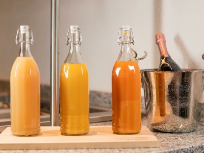 Apartment Apartment Nr. 2 "GLETSCHERTOR" - Features photo 37