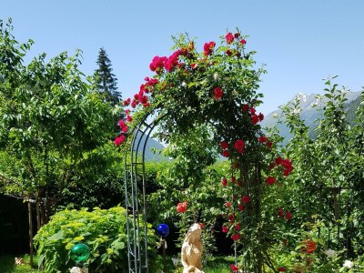 Apartment Ferienwohnung Kreuzjoch - Outdoor photo 3