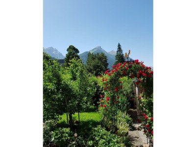 Apartment Ferienwohnung Kreuzjoch - Outdoor photo 16