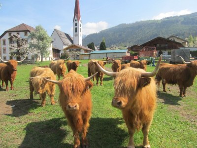 Apartment Tirol - Outdoor photo 22