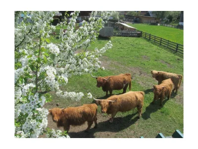 Apartment Serlesblick - Outdoor photo 4
