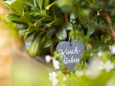 Apartment Appartement 2 - Outdoor photo 274