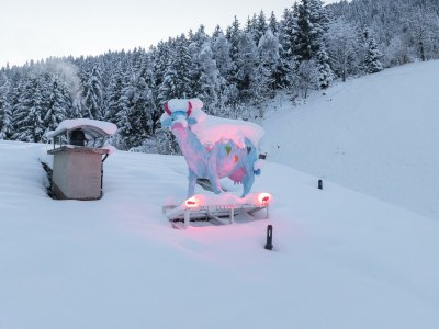 Apartment Appartement 1 - Features photo 311