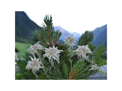 Apartment 101+102, Appartement mit 2 Schlafzimmer - Outdoor photo 10