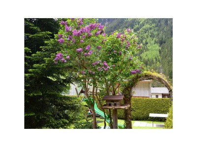 Apartment 101+102, Appartement mit 2 Schlafzimmer - Outdoor photo 22