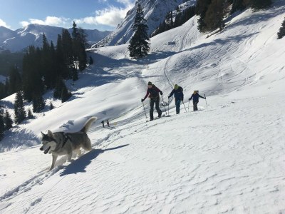 Apartment Ferienwohnung - Outdoor photo 13