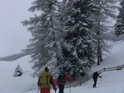 Apartment Ferienwohnung - Outdoor photo 15