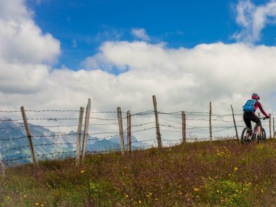 Apartment Ferienwohnung - Outdoor photo 17