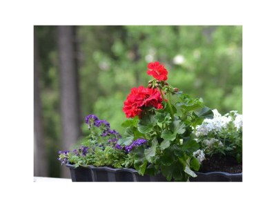 Apartment Doppelzimmer, Dusche, WC, Standard - Outdoor photo 4