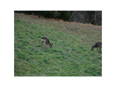 Apartment Appartement/Fewo, Dusche, WC, 1 Schlafraum - Outdoor photo 9
