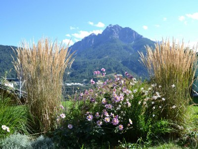 Apartment Appartement/Fewo, Dusche, WC, 1 Schlafraum - Outdoor photo 11