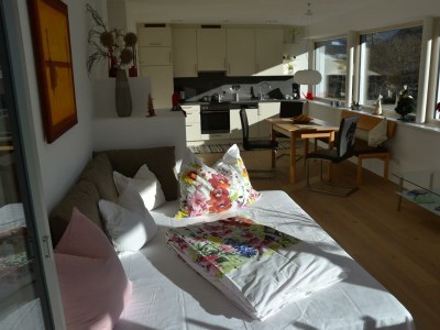 Apartment Appartement/Fewo, Dusche, WC, 1 Schlafraum - Features photo 53