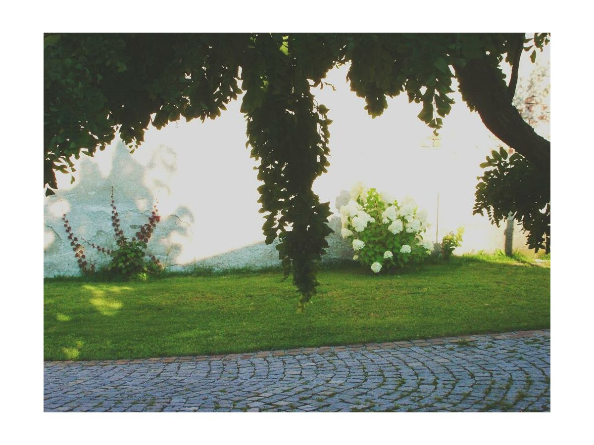 Apartment Appartement/Fewo, Dusche oder Bad, WC - Outdoor photo 2