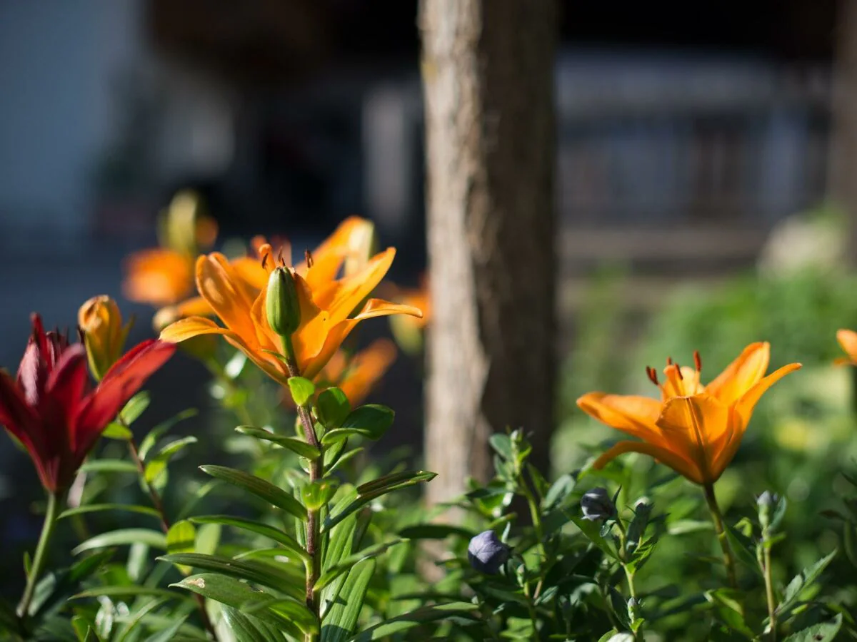 Apartment Appartement/Fewo, Dusche oder Bad, WC - Outdoor photo 5