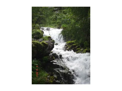 Apartment Appartement/Fewo, Dusche oder Bad, WC - Outdoor photo 11