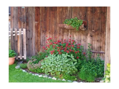 Apartment Appartement/Fewo, Dusche oder Bad, WC - Outdoor photo 18