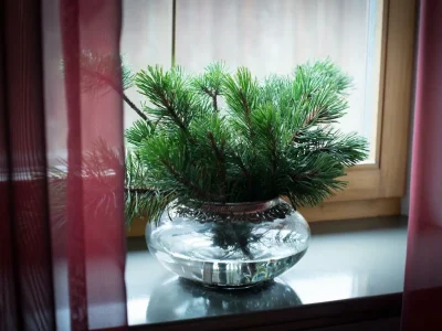 Apartment Appartement/Fewo, Dusche oder Bad, WC - Features photo 21