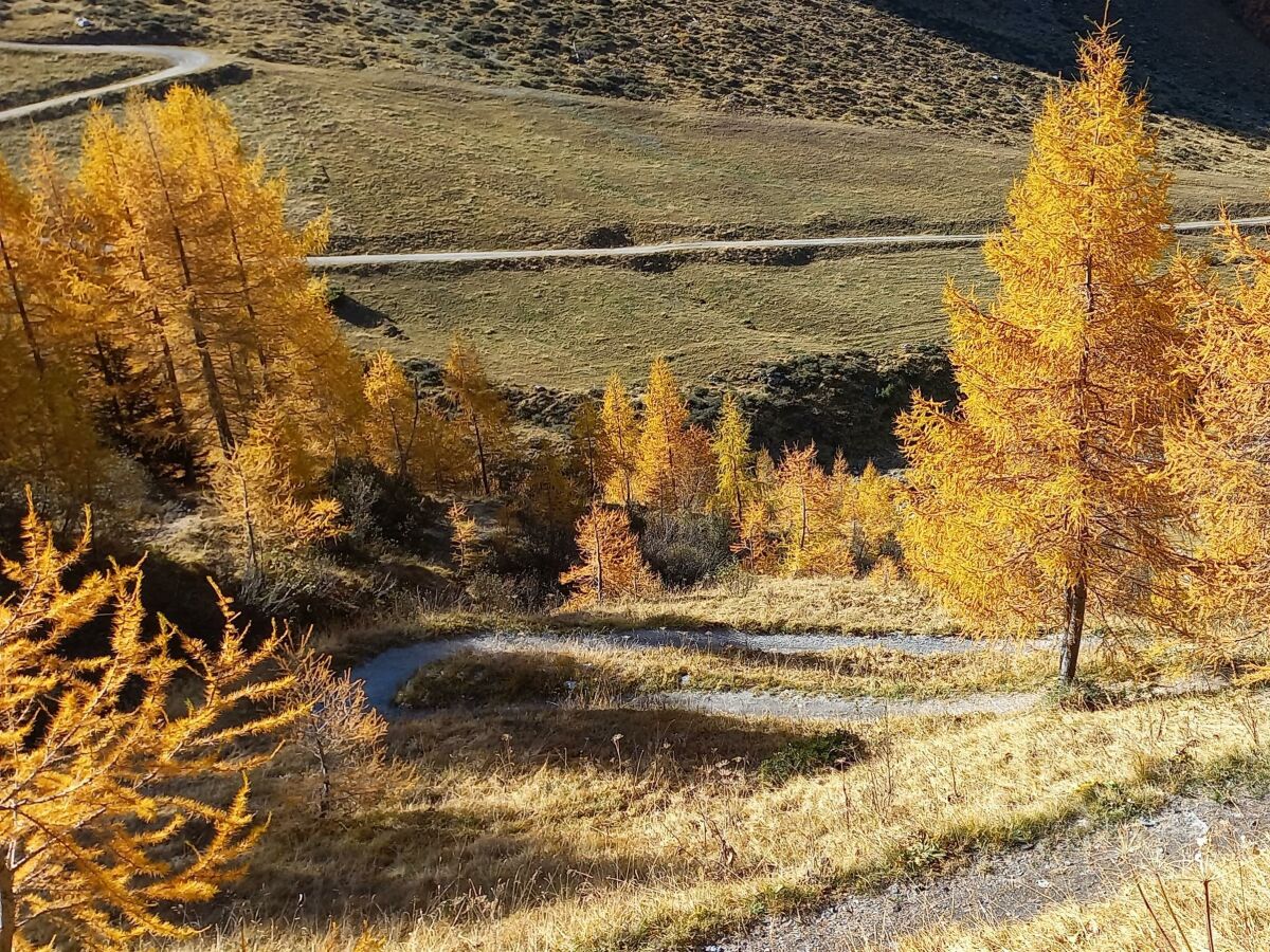 Apartment Apartment 40m² - Outdoor photo 3