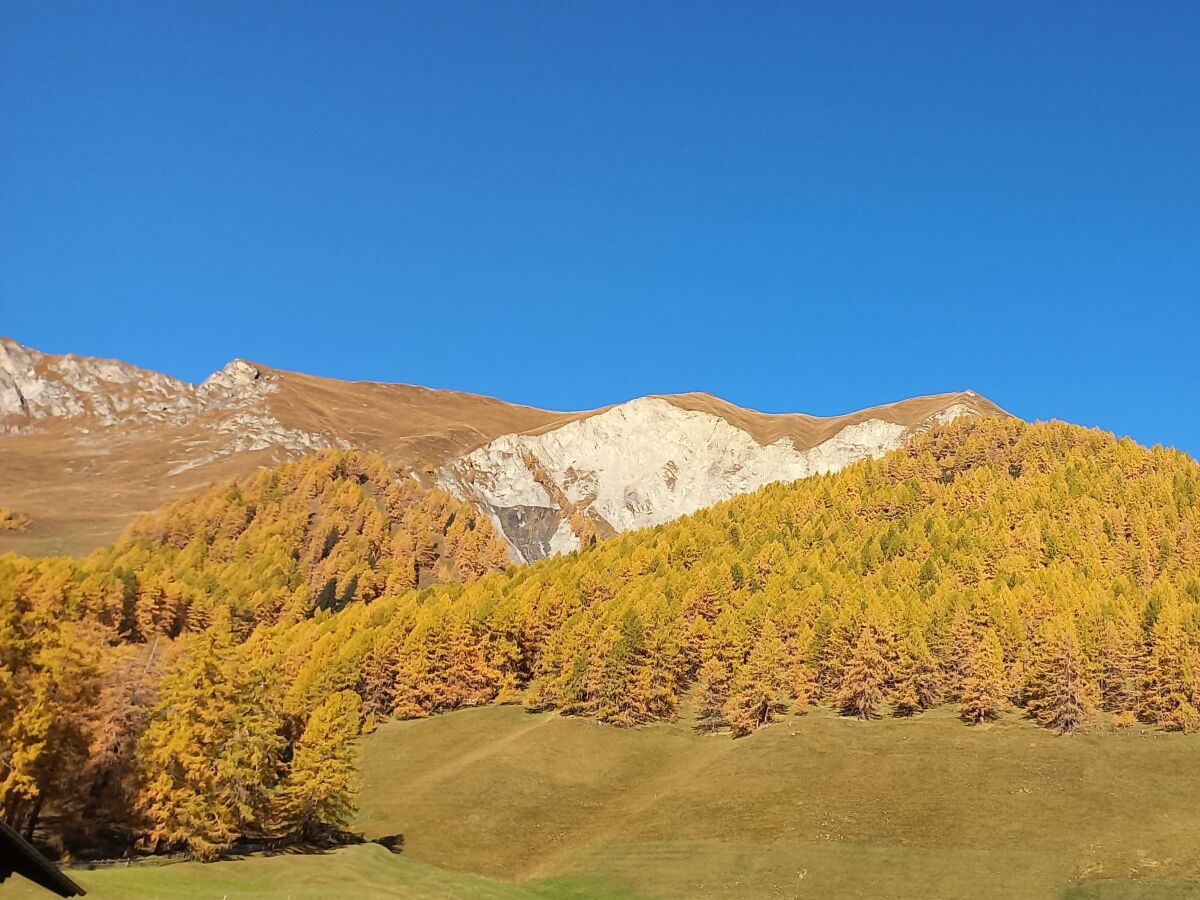 Apartment Apartment 40m² - Outdoor photo 4