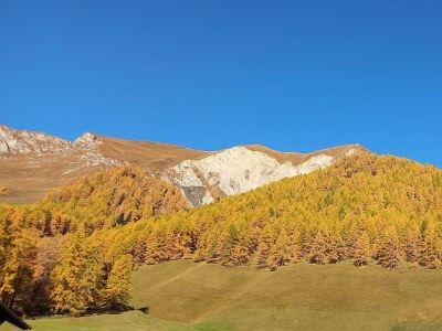 Apartment Apartment 40m² - Outdoor photo 4