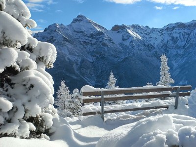 Apartment Apartment 40m² - Outdoor photo 9