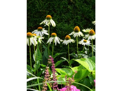 Apartment Appartement/Fewo "Gfiarig" - Outdoor photo 11