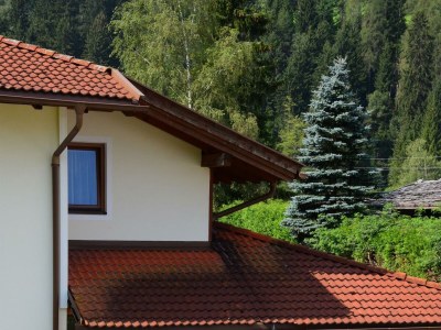 Apartment Appartement/Fewo "Gfiarig" - Features photo 25