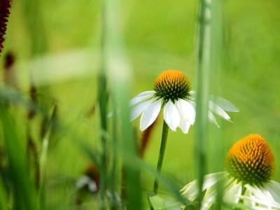 Apartment Appartement/Fewo "Gfiarig" - Features photo 26