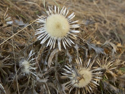 Apartment Appartement/Fewo "Gfiarig" - Features photo 31