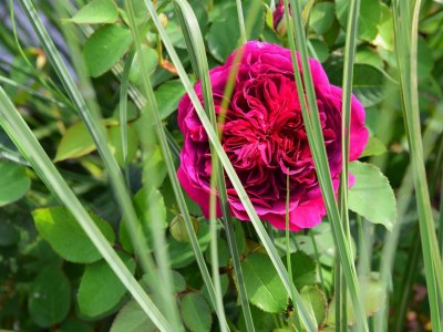 Apartment Appartement/Fewo "Gfiarig" - Features photo 34