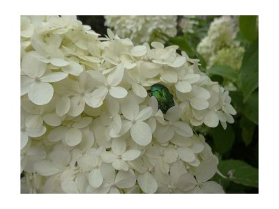 Apartment Appartement 1 - Outdoor photo 19