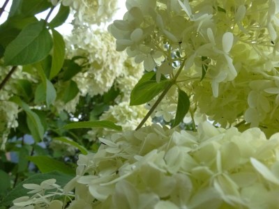 Apartment Appartement 1 - Features photo 54