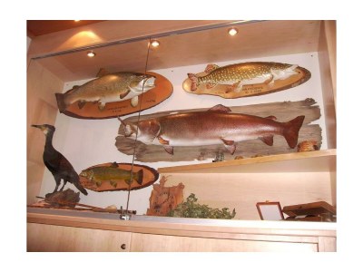 Apartment Appartment Arnika - Outdoor photo 10