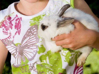 Apartment Appartement C - Kleeblatt - Outdoor photo 85