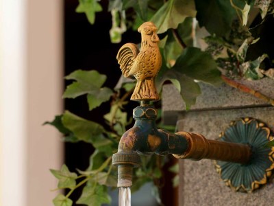 Apartment Appartement C - Kleeblatt - Outdoor photo 129