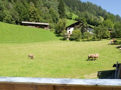 Apartment Appartement C - Kleeblatt - Features photo 144