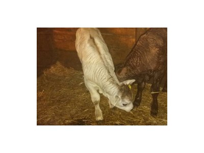 Apartment Panorama - Outdoor photo 5