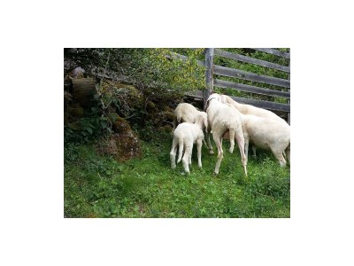 Apartment Panorama - Outdoor photo 10