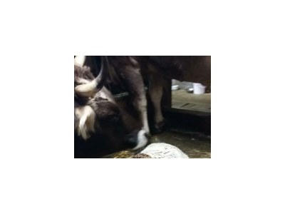 Apartment Panorama - Outdoor photo 11