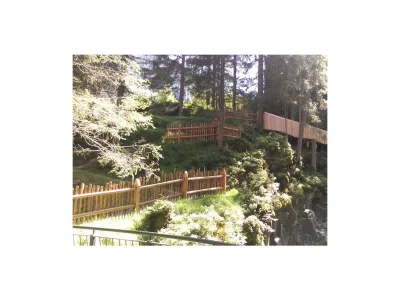 Apartment Ferienwohnung Daniel - Outdoor photo 11