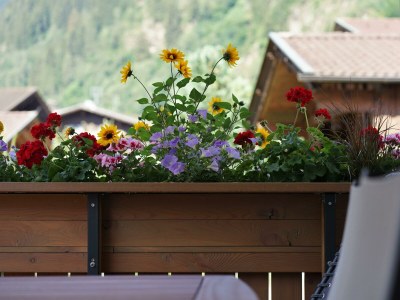 Apartment Berg' Appartement - Features photo 11