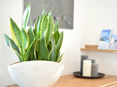 Apartment Berg' Appartement - Features photo 15