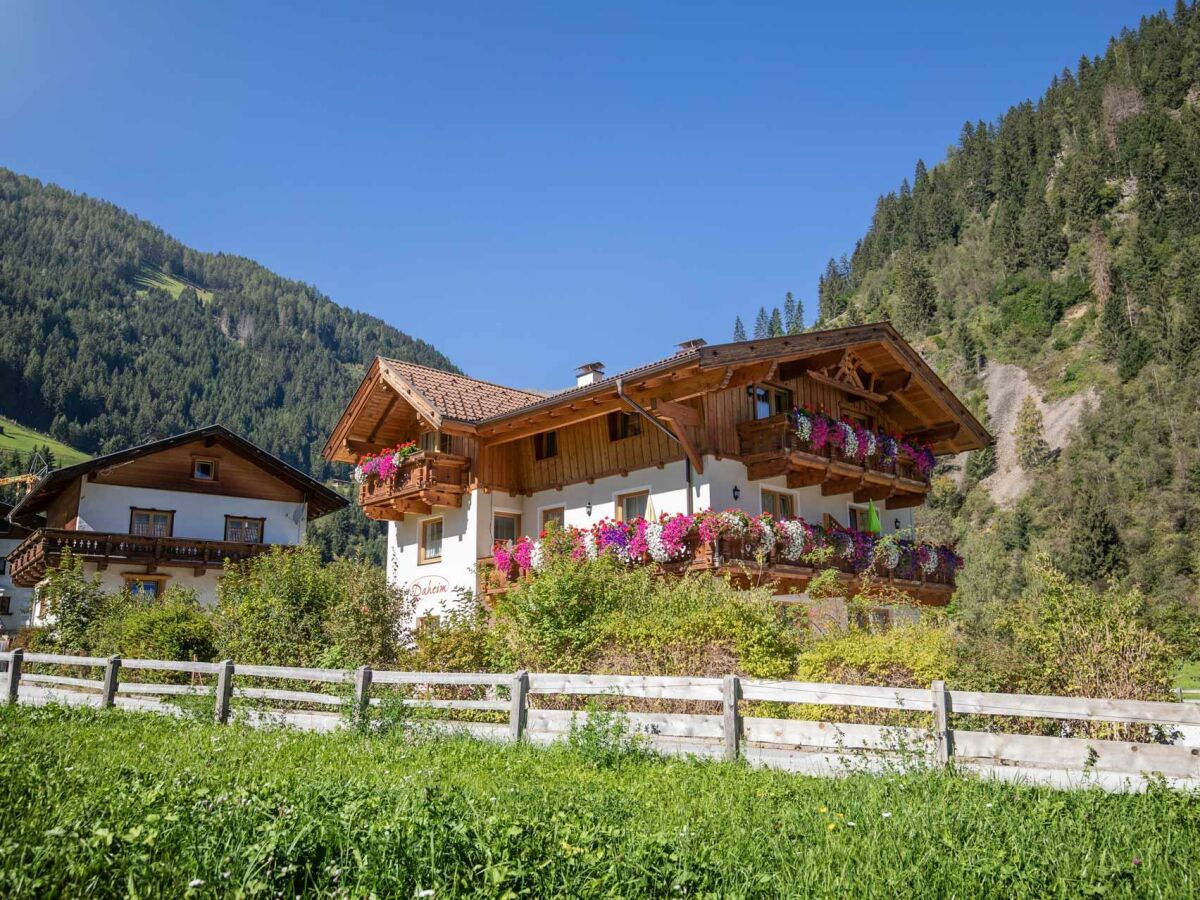 Apartment Appartement "Habicht"