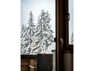 Apartment Sechser Appartement - Outdoor photo 40