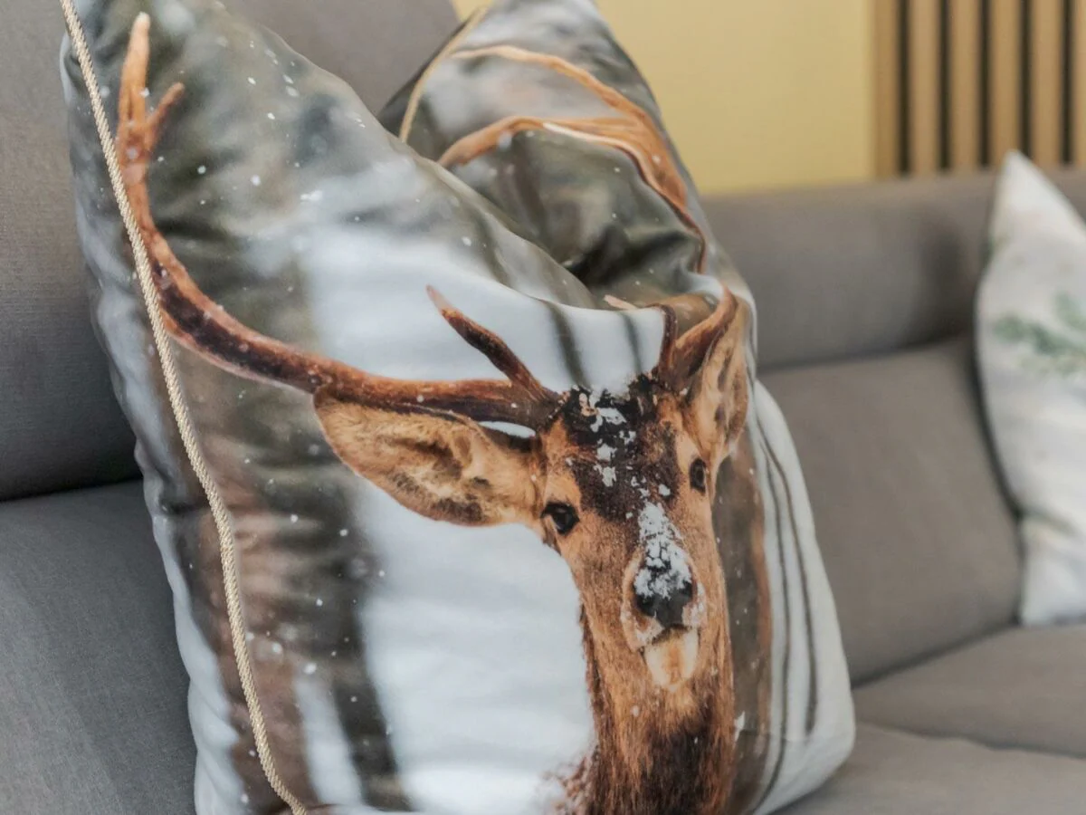 Apartment Appartement/Fewo, Dusche oder Bad, WC 50M² - Outdoor photo 3