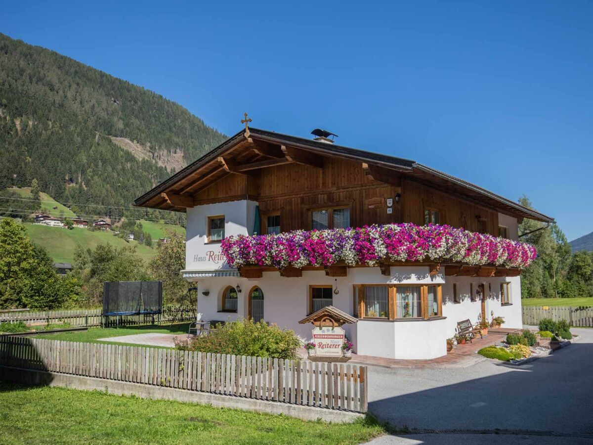 Apartment Appartement/Fewo 1