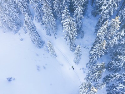 Apartment Appartement/Fewo 1 - Outdoor photo 13