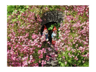 Apartment Studio - Outdoor photo 5